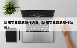 新沂沈阳专业网站制作方案（沈阳专业网站制作公司）